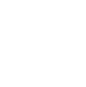 BW Pet Treats