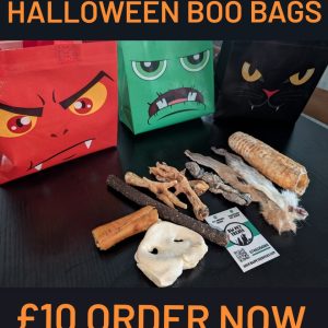 Halloween Boo Bags