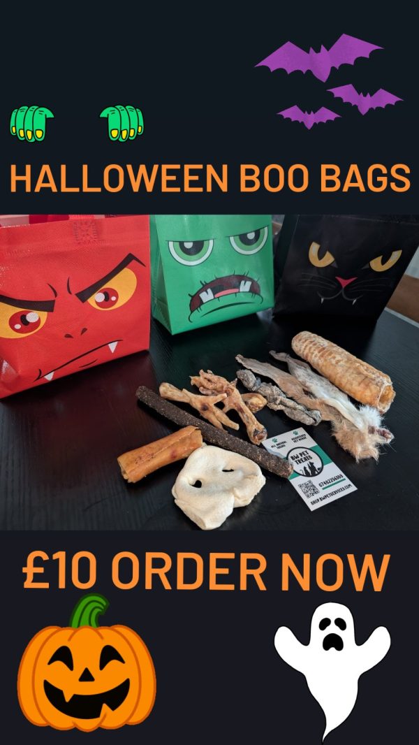 Halloween Boo Bags